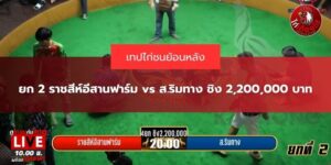 ไก่ชนย้อนหลังวันเสาร์