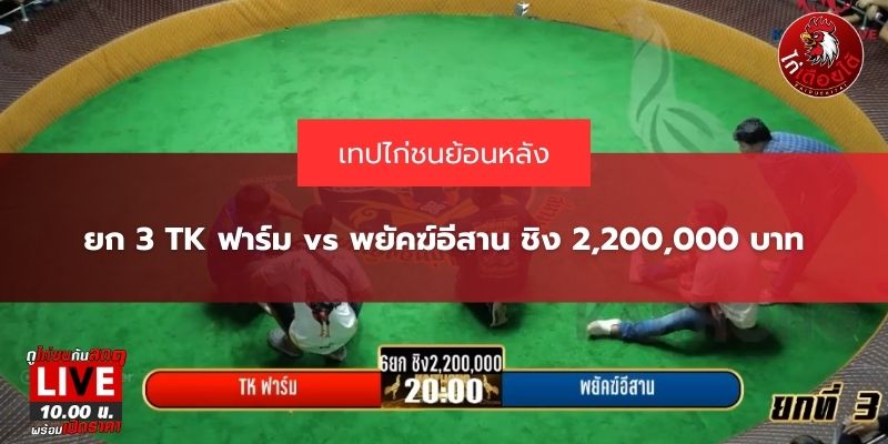 ไก่ชนย้อนหลัง