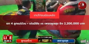 ข่าวสารไก่ชนวันนี้