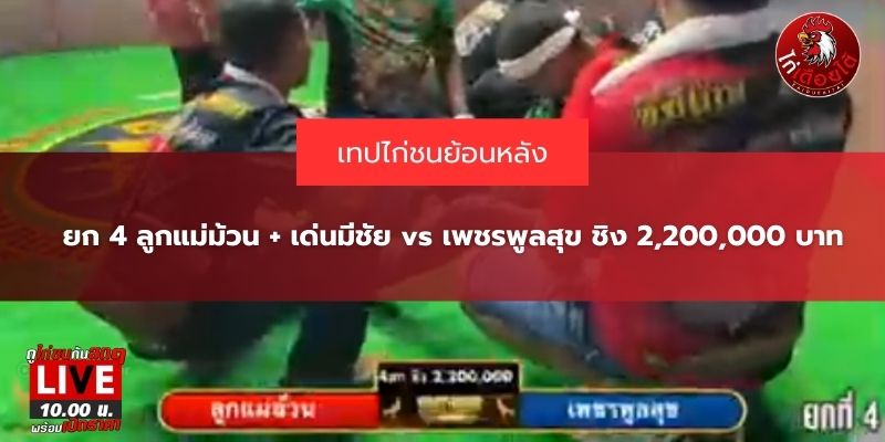 ข่าวสารไก่ชนวันนี้
