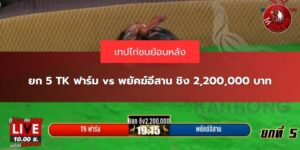 ข่าวไก่ชนล่าสุด