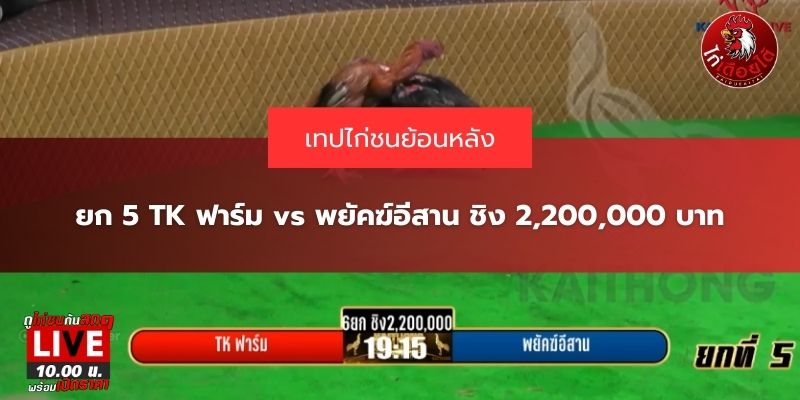 ข่าวไก่ชนล่าสุด