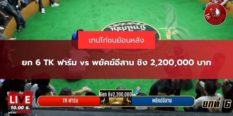 TK ฟาร์ม vs พยัคฆ์อีสาน