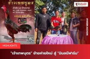 นินลนีฟาร์ม