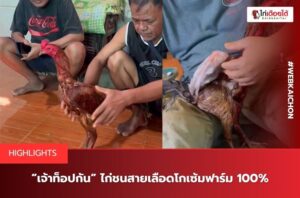 เจ้าท็อปกัน