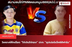 ไก่เงินไก่ทอง