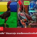 สายเลือดแชมป์ซีรีนทีม