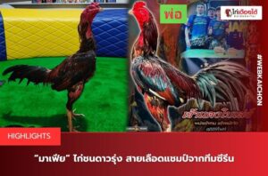 สายเลือดแชมป์ซีรีนทีม