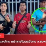 ซุ้ม 4ปริ้น78