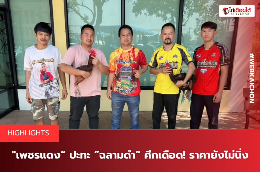 สนามไก่ทองอินเตอร์ล่าสุด