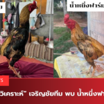 “บทวิเคราะห์” เจริญชัยทีม พบ น้ำหนึ่งฟาร์ม.