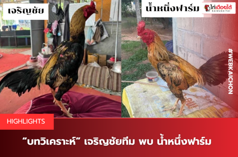 “บทวิเคราะห์” เจริญชัยทีม พบ น้ำหนึ่งฟาร์ม.