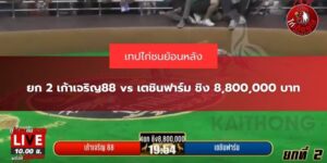 เตชินฟาร์ม
