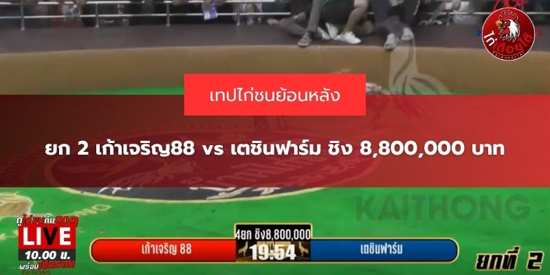 เตชินฟาร์ม