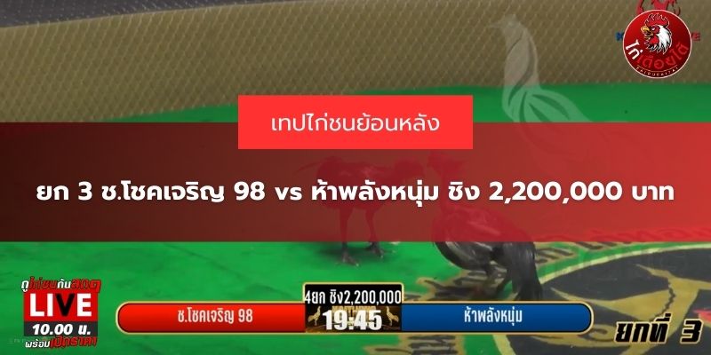 สนามไก่ทองอินเตอร์ล่าสุด