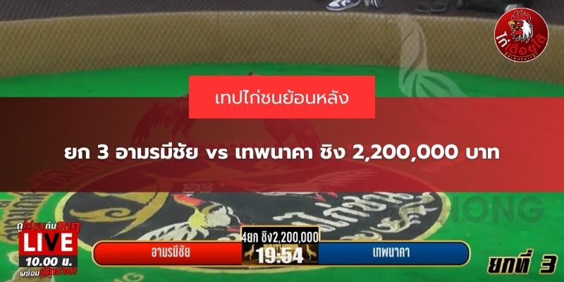คลิปไก่ชนย้อนหลัง