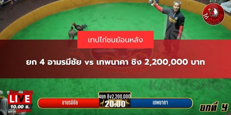 ข่าวสารไก่ชน