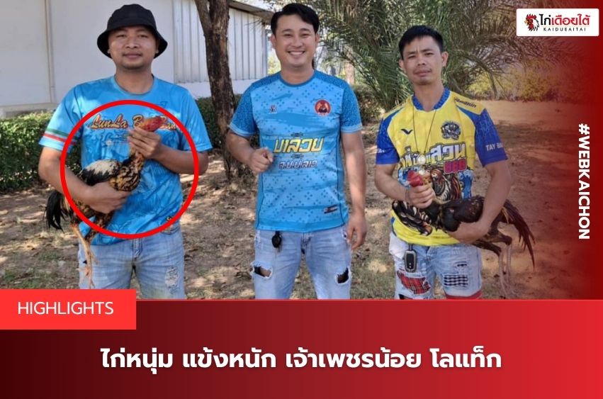 โลแท็กเจ้าเพชรน้อย